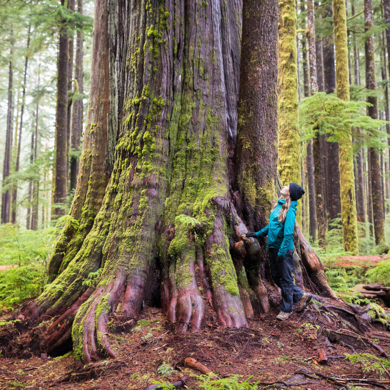 Conservation financing - 800 x 800