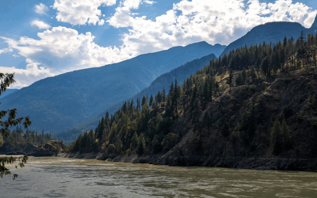 Media Release: First Nation’s Plan to Protect Rare BC Old Growth to Move Forward with Critical Funding Commitment